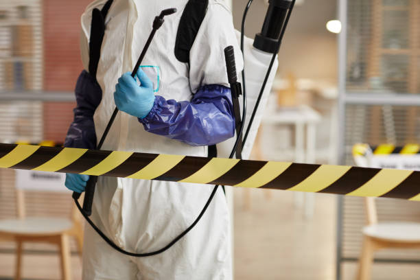 Professional Sewage Cleanup technician working in Abingdon, MD